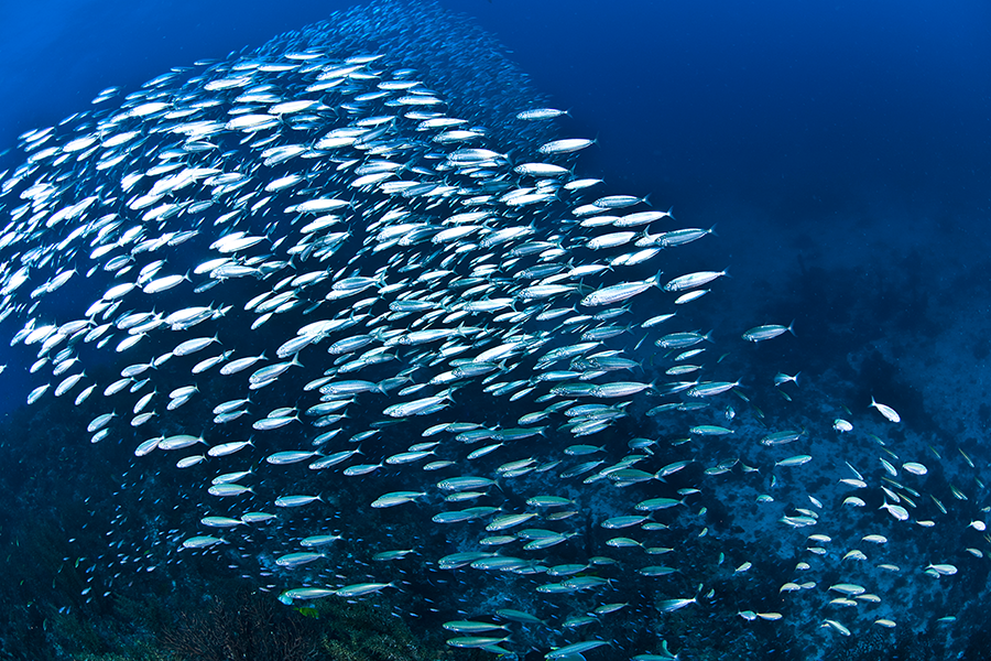 How to Create a Successful Nail Art Business on LinkedIn A Place with Beauty Innovation