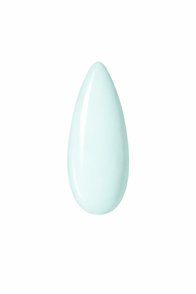 MACARON #338