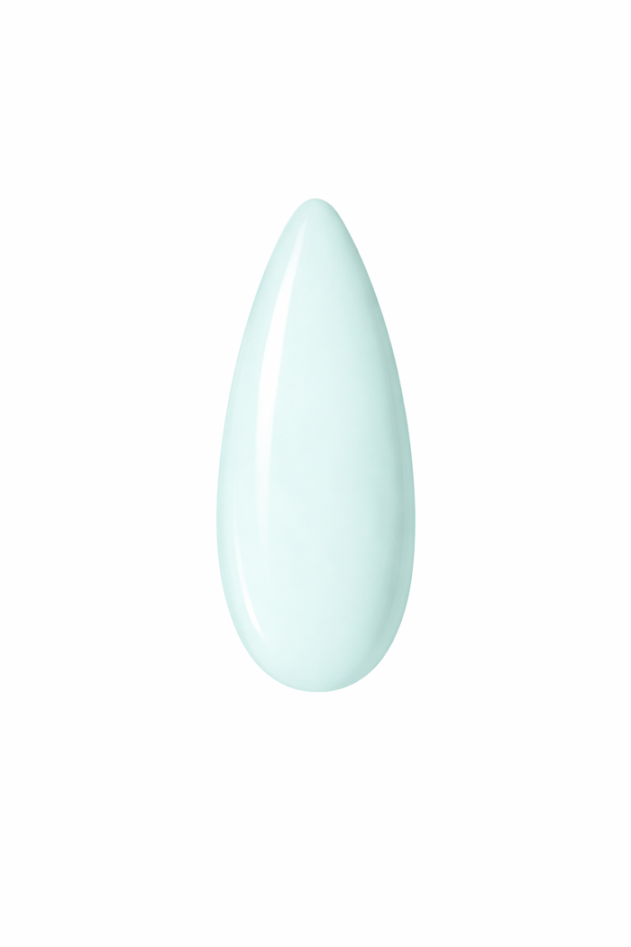 MACARON #338