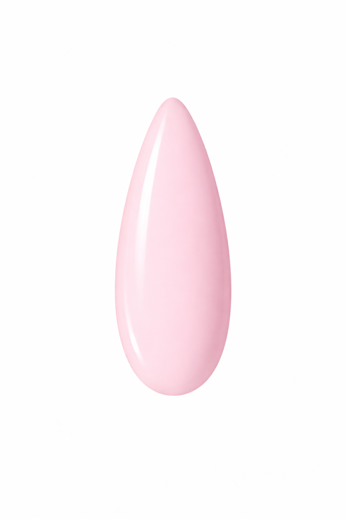 MACARON #339